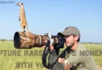 capture rare wildlife moments with your camera