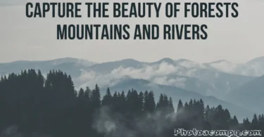 capture the beauty of forests mountains and rivers