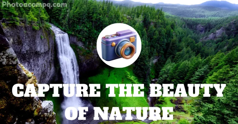 capture the beauty of nature