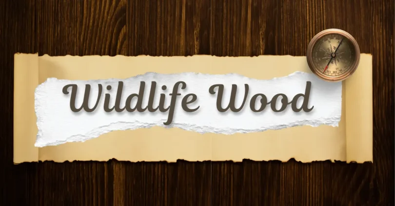wildlife wood